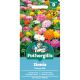 Zinnia Choice Mix