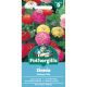 Zinnia Sunbow Mix