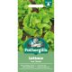 Lettuce Tom Thumb