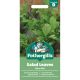 Salad Leaves Spicy Mix