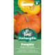 Pumpkin Rouge Vif D'Etampes