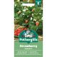 Strawberry Delician F1
