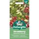Strawberry (Alpine) Red & White Mix