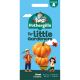 Little Gardeners Giant Pumpkins