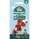 Little Gardeners Ladybird Poppies