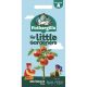 Little Gardeners Mini Munch Toms