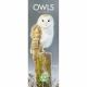 Owls 2023 Slim Calendar