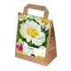 Paeonia Lactiflora Jan Van Leeuwen