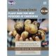 Pentland Javelin Seed Potatoes (Taster Pack of 9)