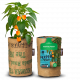 Baza Pepper Club - Habanero Orange