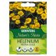 Nature's Haven Helenium Helena Gold
