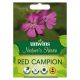 Nature's Haven Red Campion