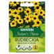 Nature's Haven Rudbeckia Blackjack Gold