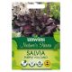 Nature's Haven Salvia Purple Volcano