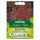 Nature's Haven Salvia Roemeriana Arriba