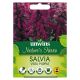 Nature's Haven Salvia Vista Purple