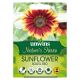 Nature's Haven Sunflower Soleil Red