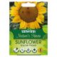 Nature's Haven Sunflower Yellow Pygmy