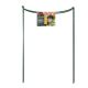 Grow It Plant Support Hoop 60cm (Pack of 2)