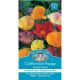 Californian Poppy Single Mixed