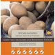 Carlingford Seed Potatoes (Taster Pack of 10)