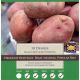 Desiree Seed Potatoes (Taster Pack of 10)
