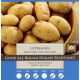 Premiere Seed Potatoes (Taster Pack of 10)