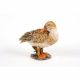 Preening Duck 33x16x25cm