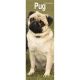 Pug 2024 Slim Calendar