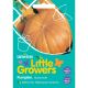 Little Growers Pumpkin Mammoth