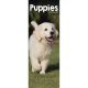 Puppies 2024 Slim Calendar