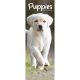 Puppies 2025 Slim Calendar