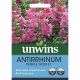 Antirrhinum Purple Twist F1