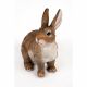 Rabbit 31x19x34cm
