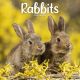 Rabbits 2024 Wall Calendar