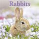 Rabbits 2025 Wall Calendar