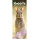 Rabbits 2025 Slim Calendar