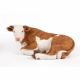 Resting Brown Cow 42x28x21cm