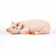 Resting Pig 54x25x17cm