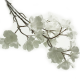 50cm White Frosted Blossom Spray