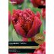 Tulip Cranberry Thistle (Select from Taylor's)