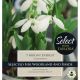 Galanthus Mount Everest (Select Range)