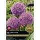 Allium Party Balloons (Select from Taylors)