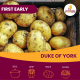 2kg Duke of York Seed Potatoes