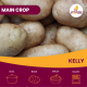 2kg Kelly Seed Potatoes