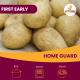 2kg Home Guard Seed Potatoes