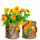 Baza Bees & Butterflies Grow Bag - Marigold