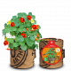 Baza Bees & Butterflies Grow Bag - Nasturtium East Indian Cherry