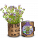 Baza Bees & Butterflies Grow Bag - Phacelia