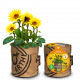 Baza Bees & Butterflies Grow Bag - Mini Sunflower